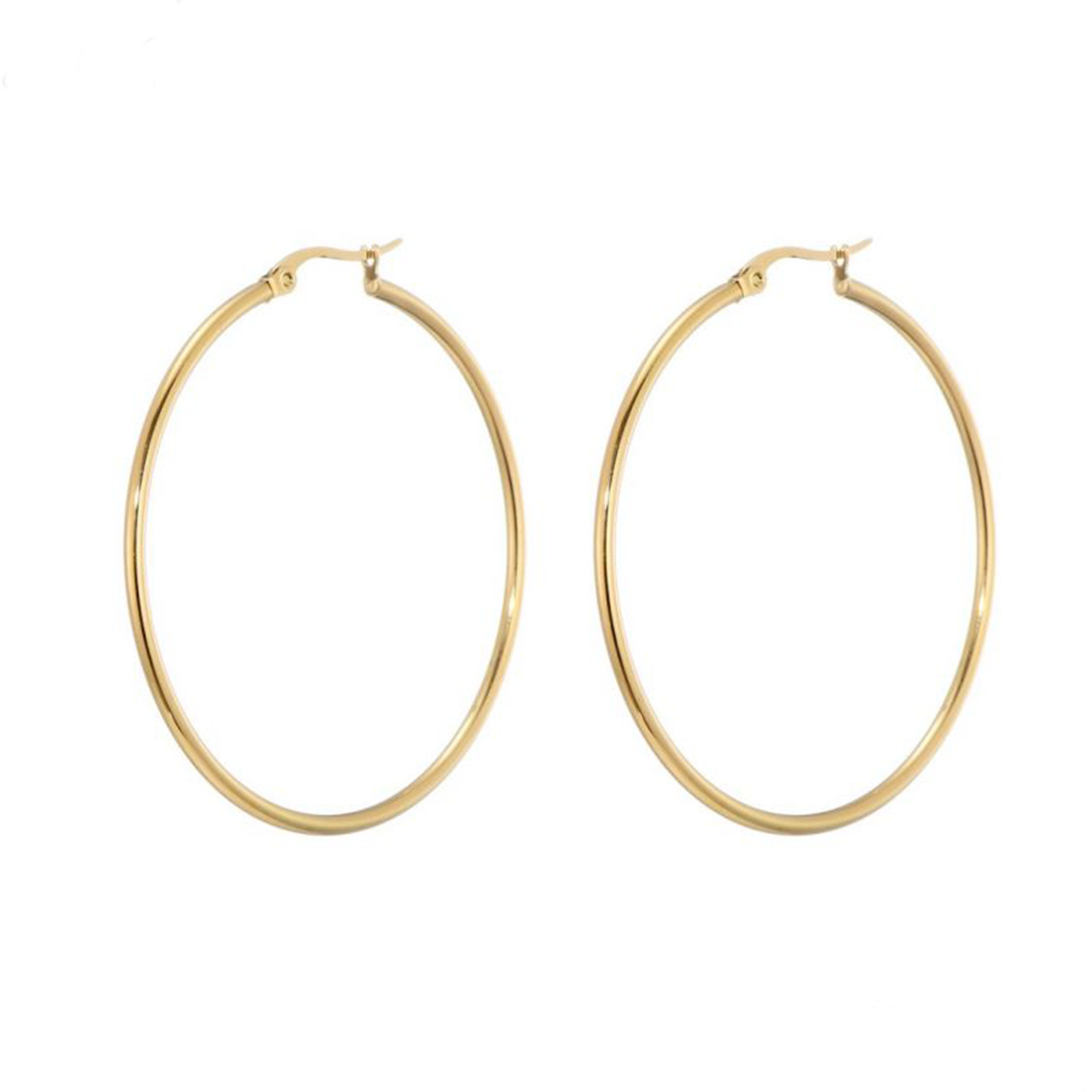 Earrings Big Hoops