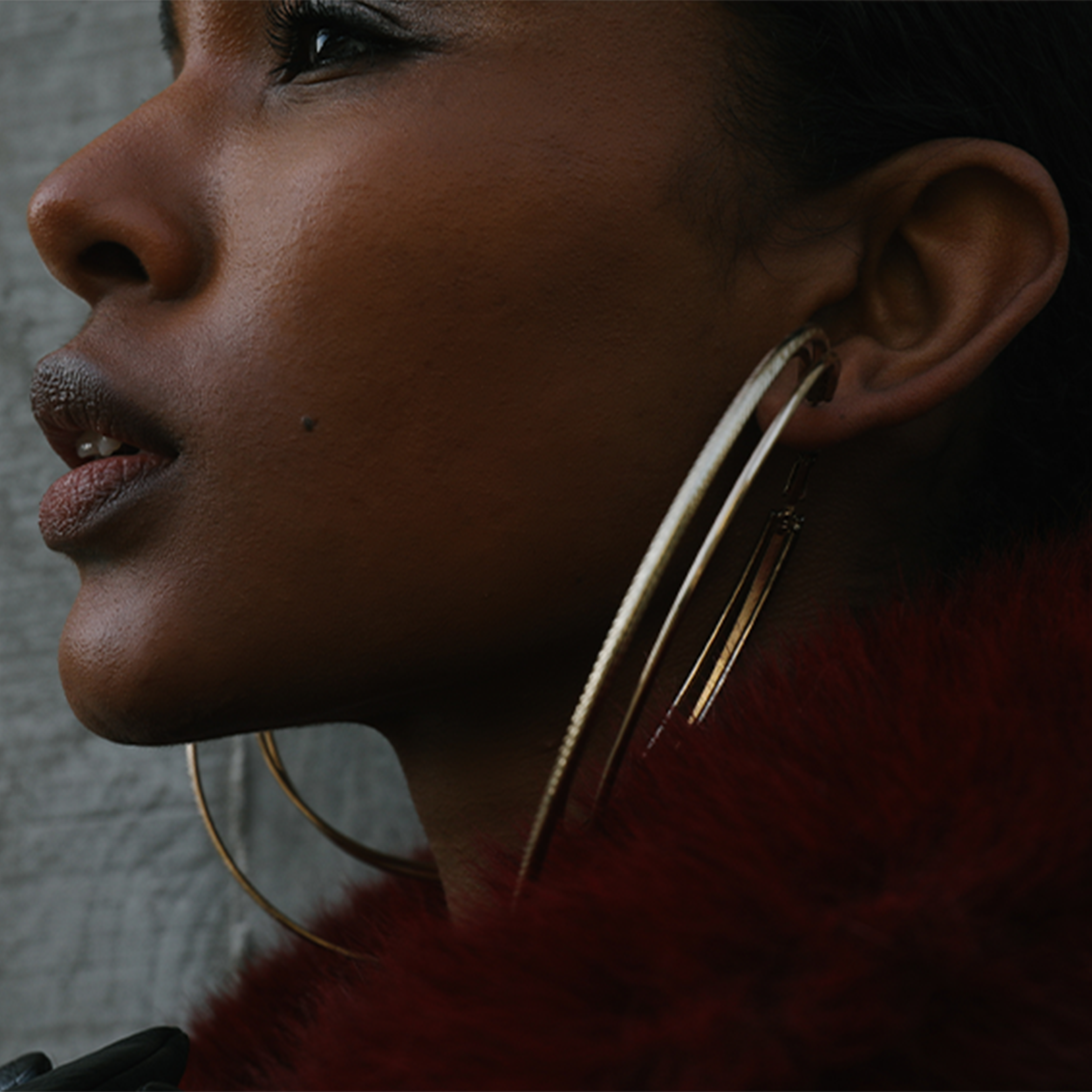 Earrings Big Hoops