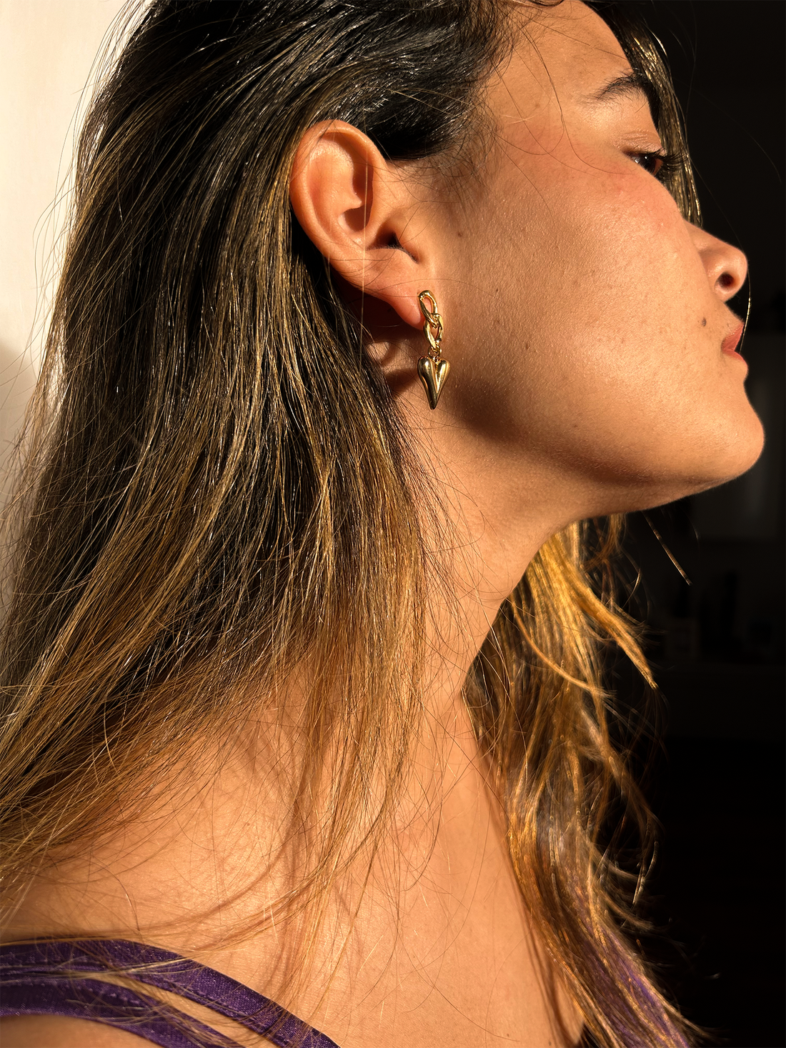 Earrings Buenos Aires - Jewelry-InStyle