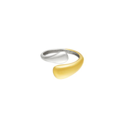 Ring Bicolored - Jewelry-InStyle